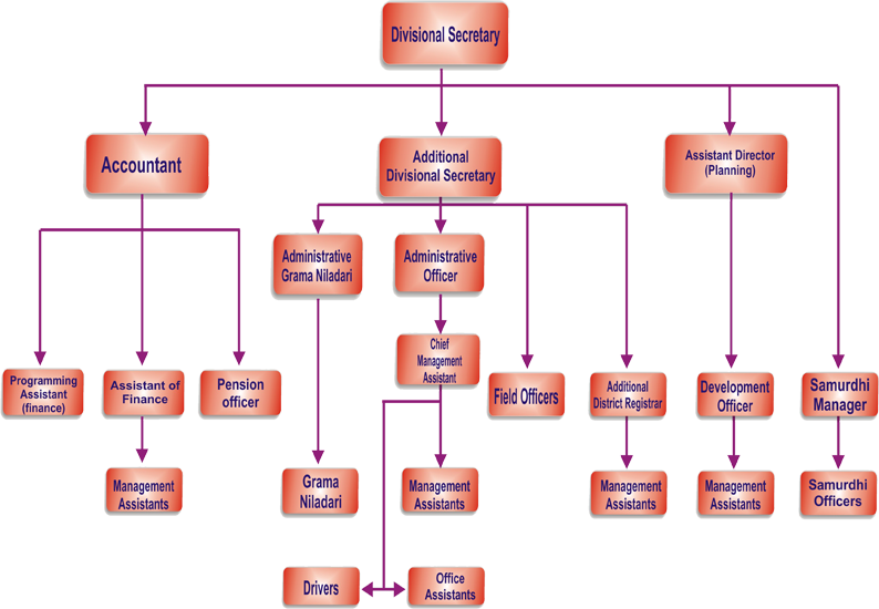 org chart of galgamuwa ds