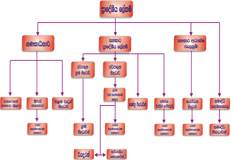 org chart sinhala ds office galgamuwa