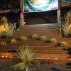 Sambudhdha Rasmi Vesak Kalapaya