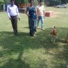 img-20181221-wa0011